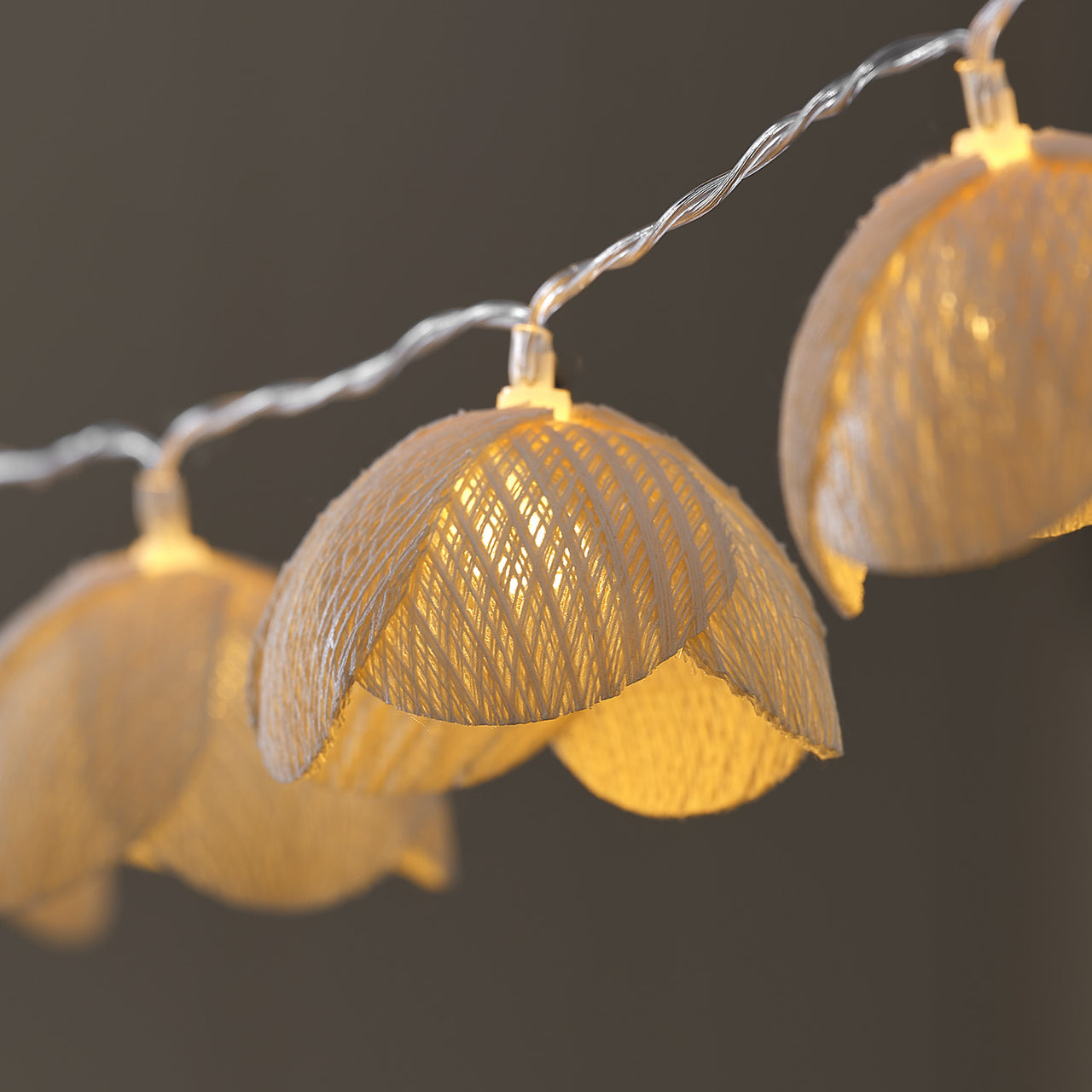 Meadow Flower Fairy Lights