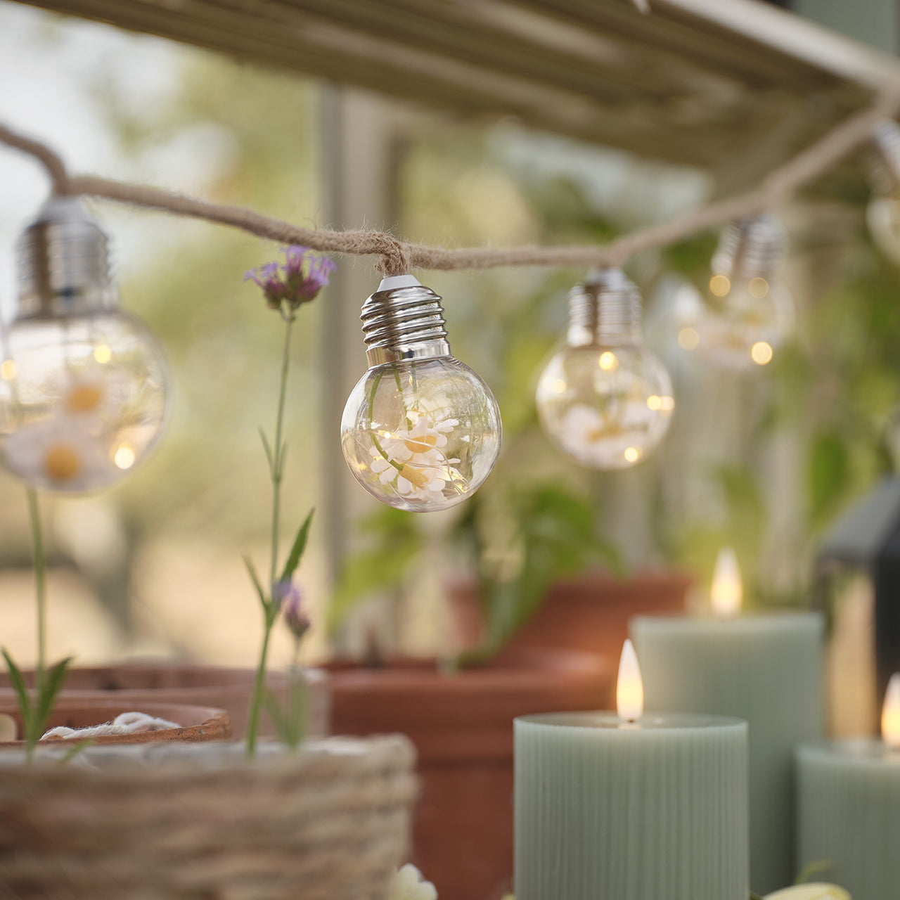 10 Daisy Micro Battery Festoon Lights