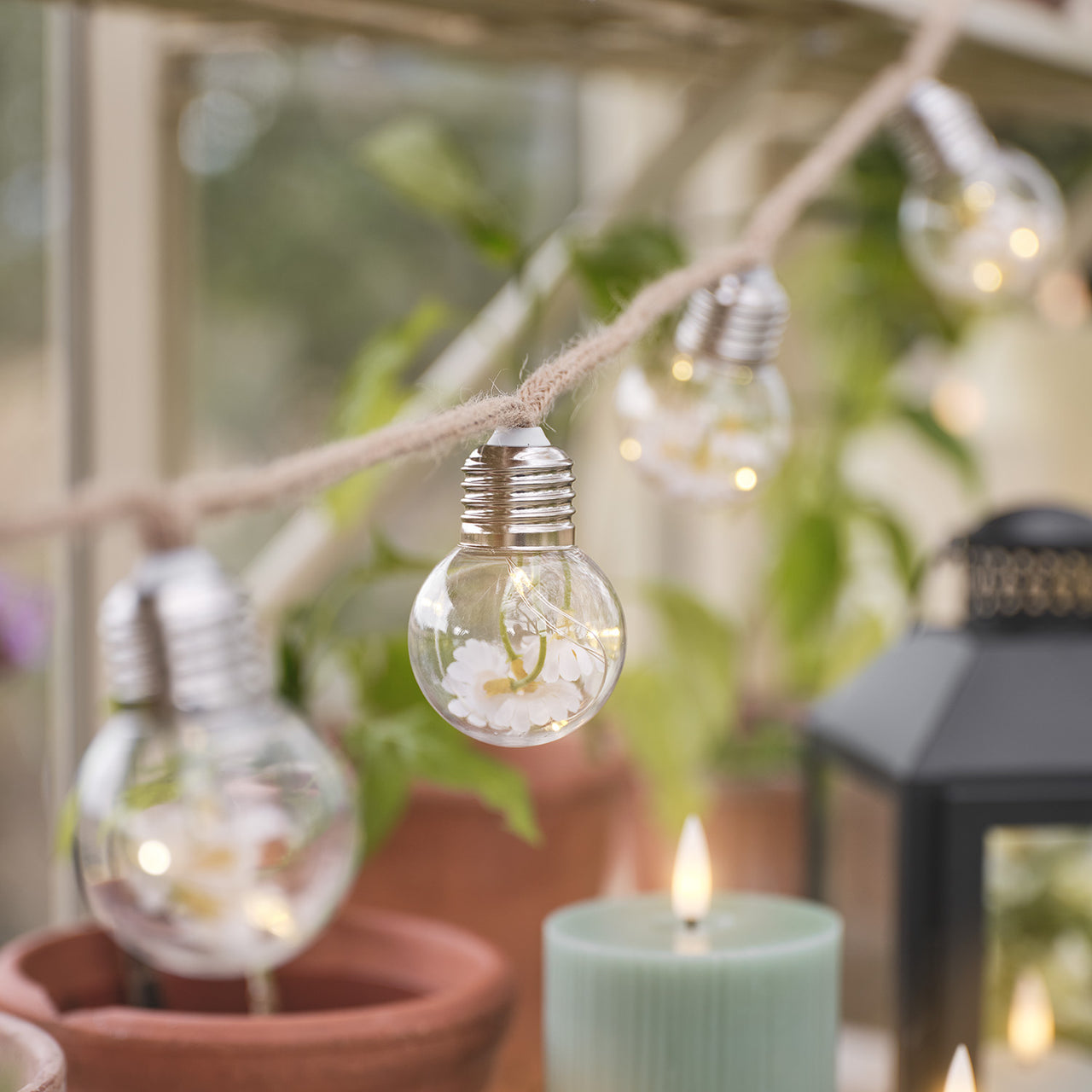 10 Daisy Micro Battery Festoon Lights