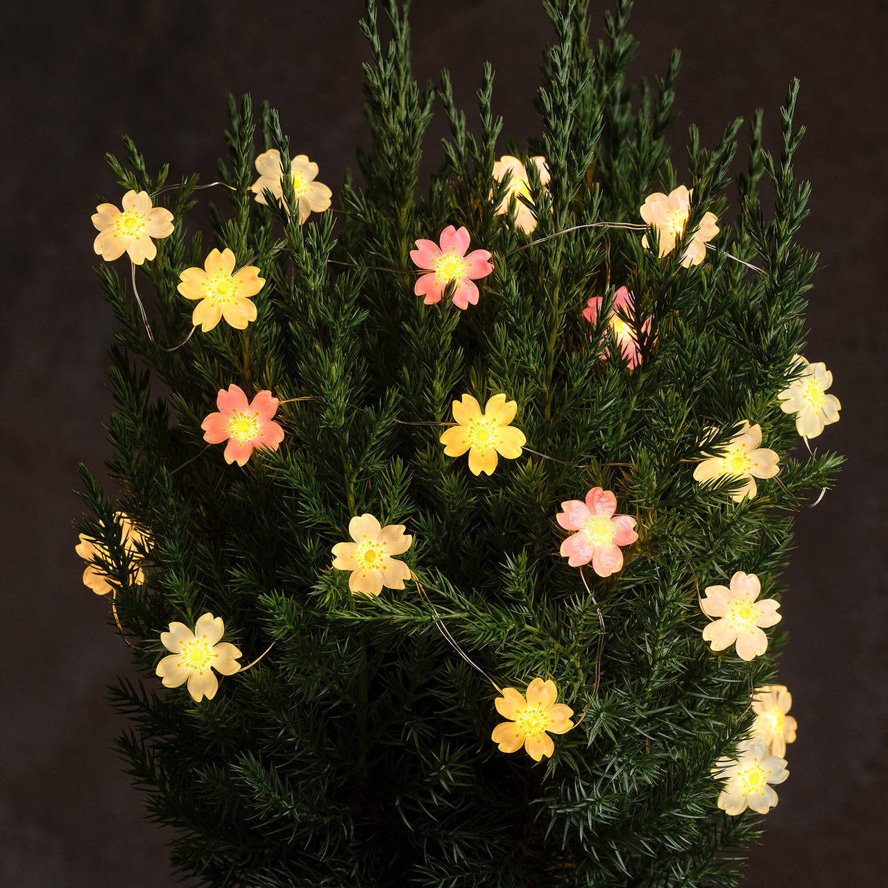 Pastel Flower Micro Lights