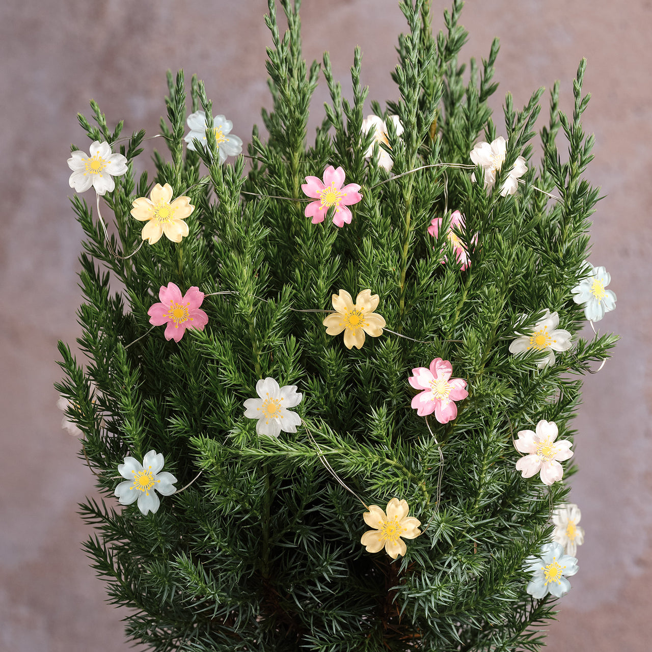 Pastel Flower Micro Lights