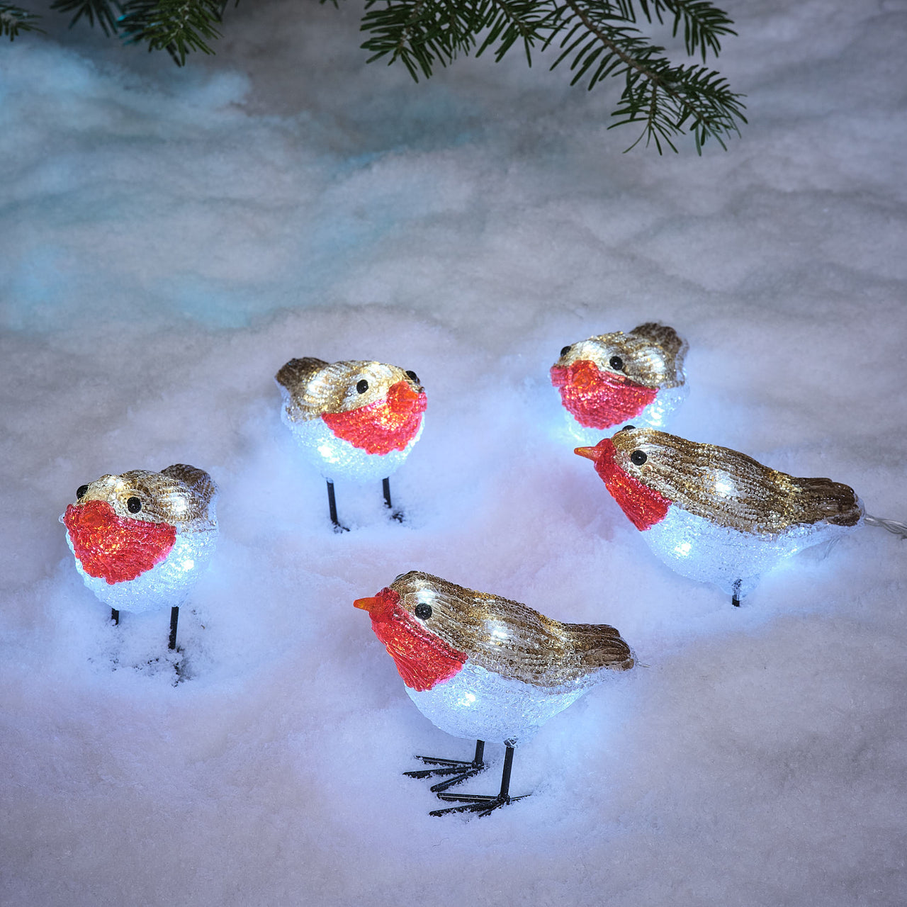 5 Acrylic Robins 3D LED Outdoor Christmas Figures