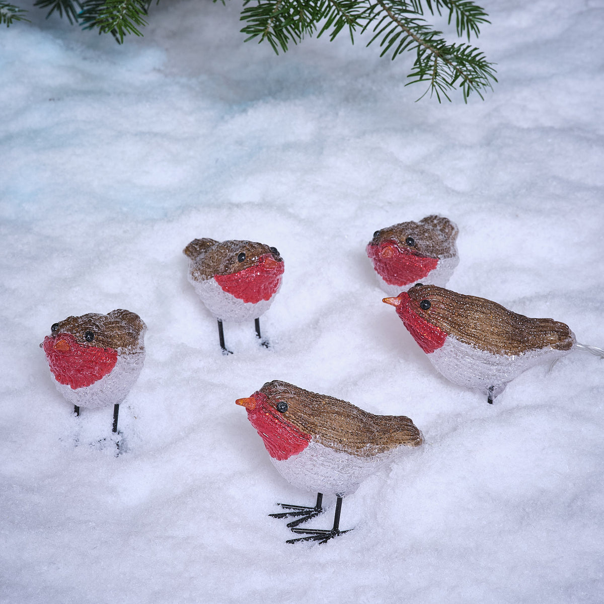 5 Acrylic Robins 3D LED Outdoor Christmas Figures