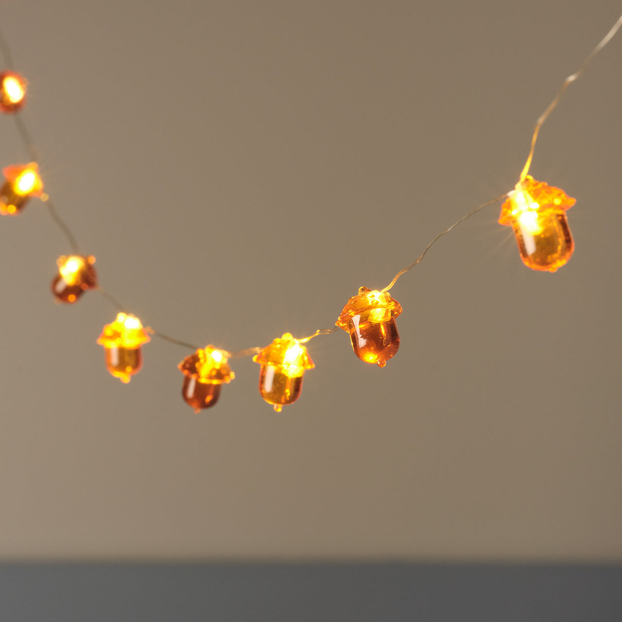20 Acorn Micro LED Fairy Lights