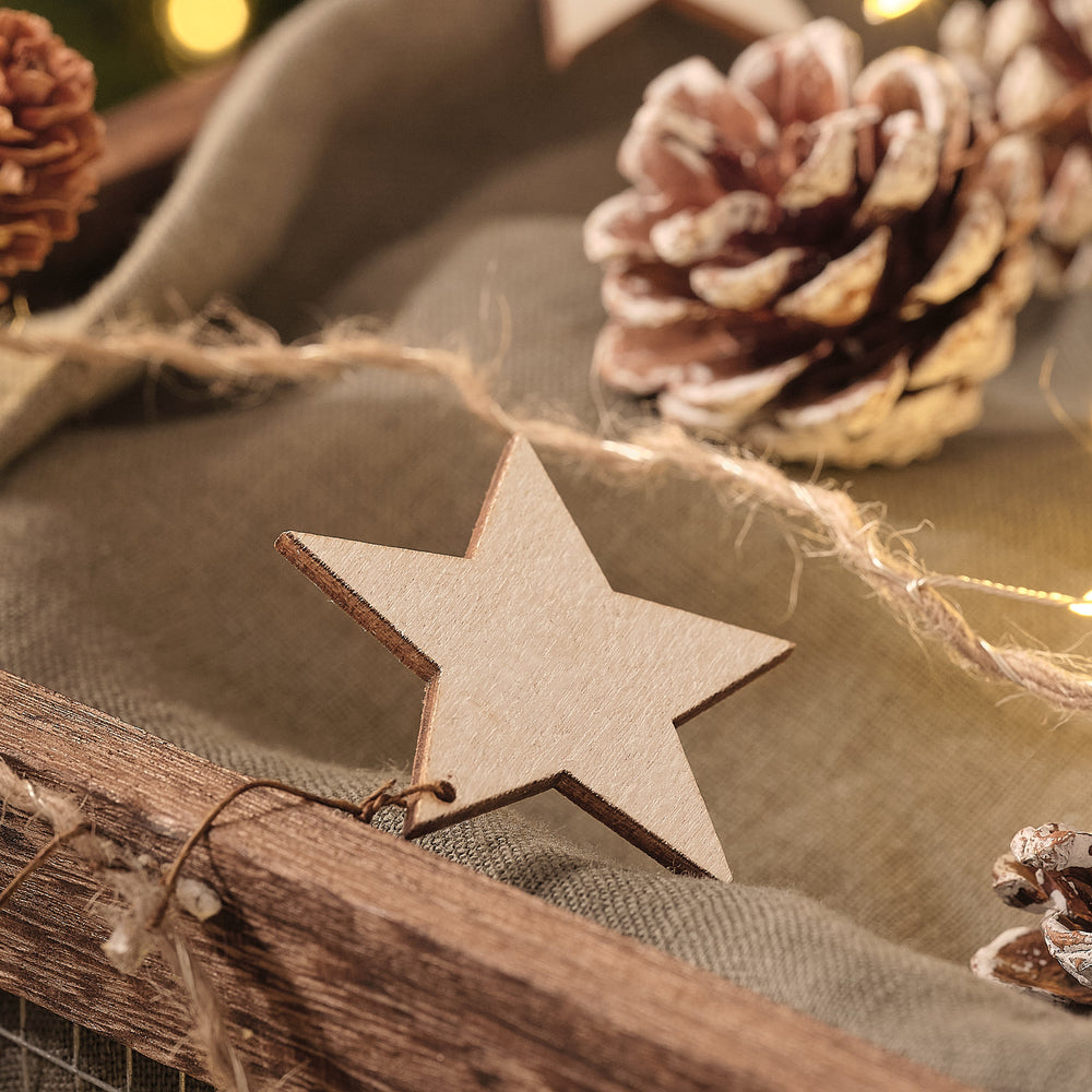 2m Minimal Star and Pinecone Micro LED Garland