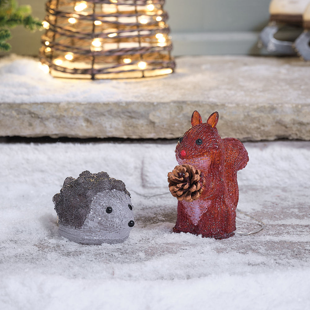 Sesil Squirrel & Hector Hedgehog LED 3D Outdoor Acrylic Christmas Figure Duo