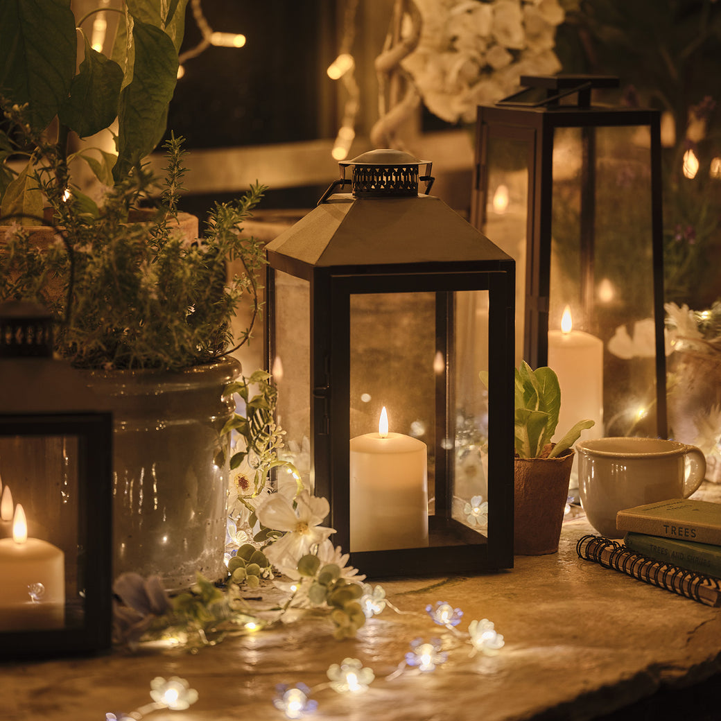 Large black Seaton lantern on a greenhouse table