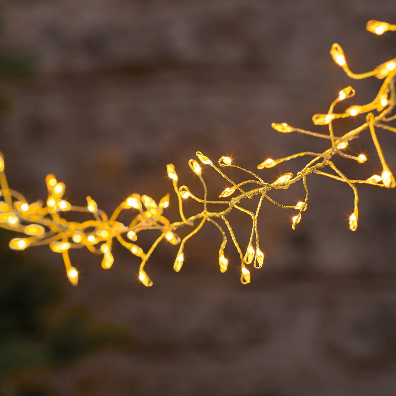 2.5m 300 Gold Outdoor Micro Plug In Outdoor Cluster Lights