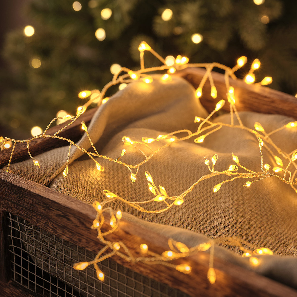 10m 1200 Gold Outdoor Micro Plug In Cluster Lights