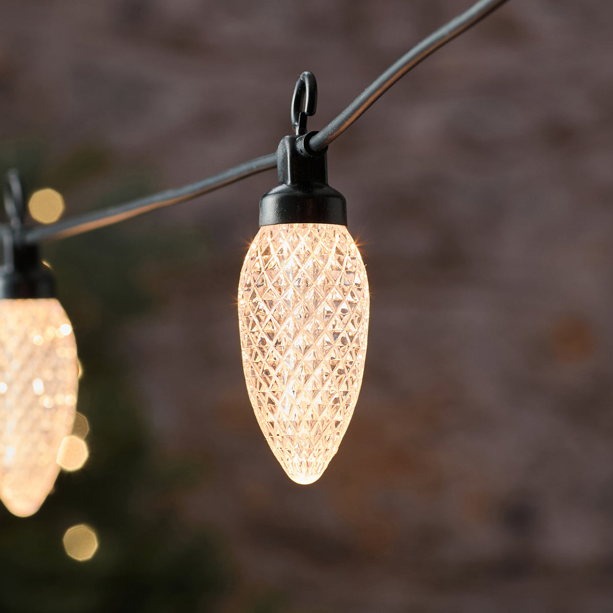 10 Warm White Pinecone Outdoor Plug In String Lights