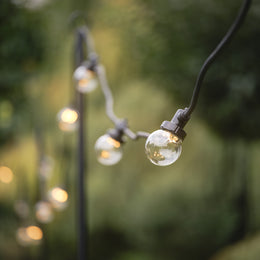 Pro Connect 5m 10 Warm White Connectable Festoon Lights Clear Cap Black Cable
