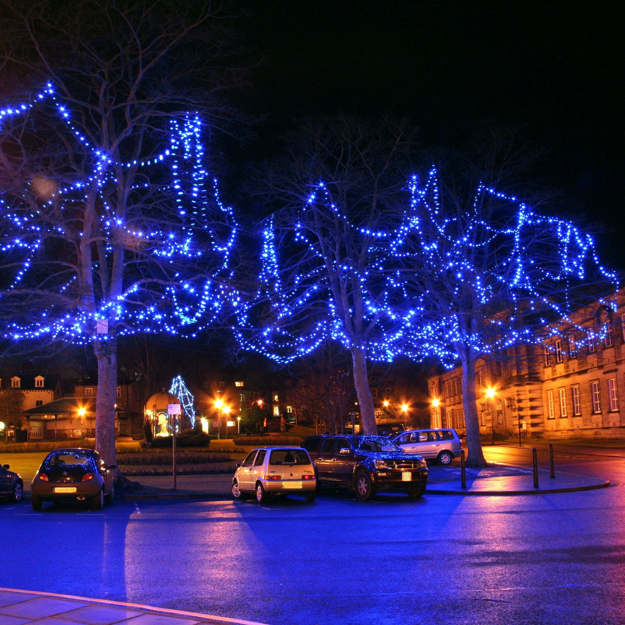 PR50BB_Blue-LED-Christmas-Lights-trees_P4_a5c679fa-92a5-4e1e-af05-bd362493f85b.jpg