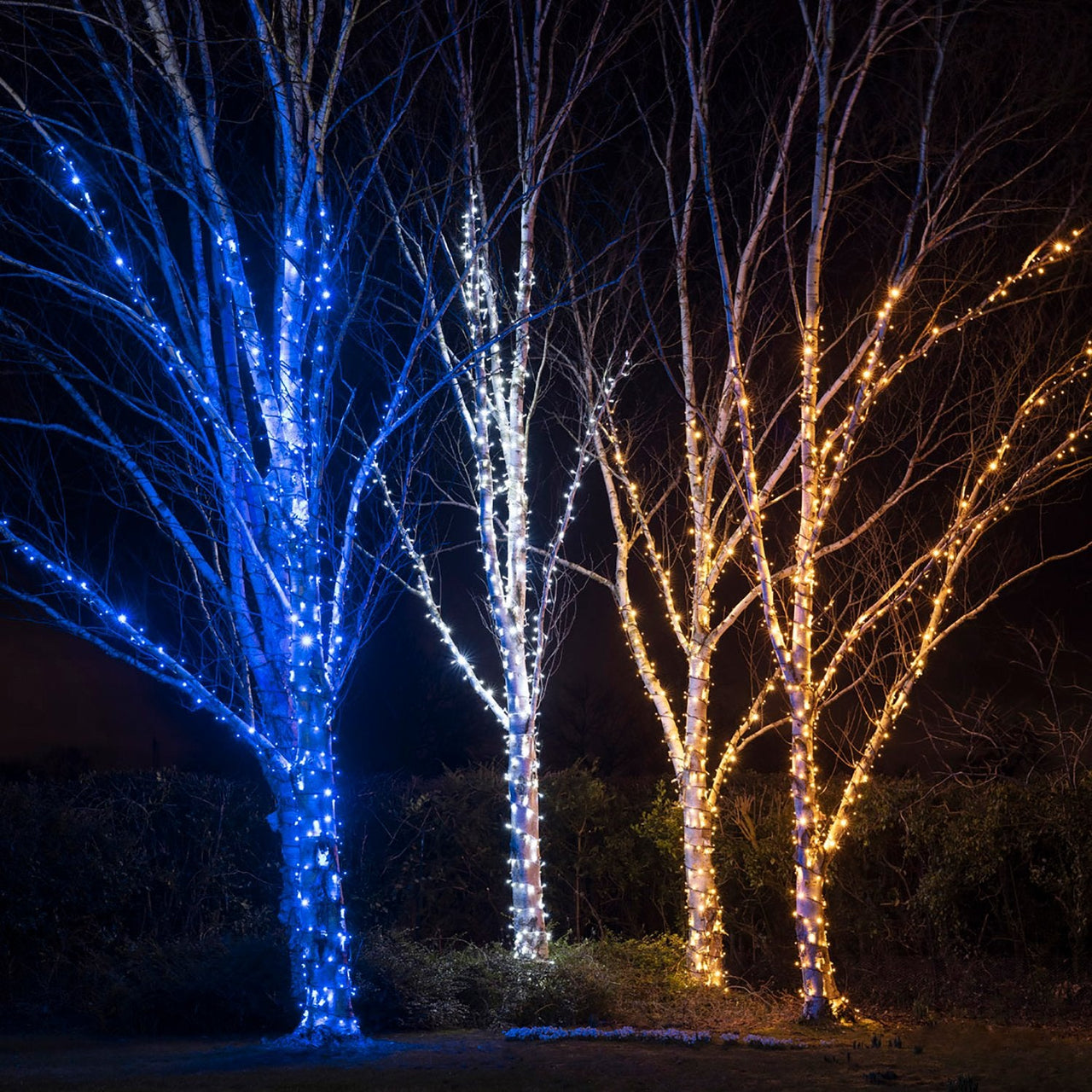 PR50BB_Blue-LED-String-Lights-Outdoor-Garden-Tree-Group_d29bf6bc-8708-49ba-9f88-ba043ca813fc.jpg