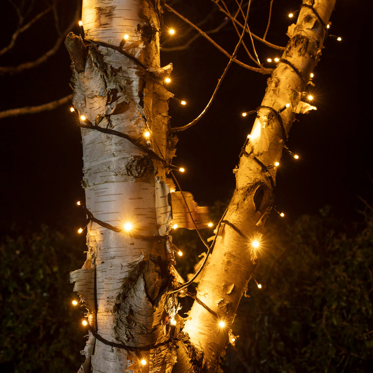 Pro Connect 5m 50 Warm White Twinkle Effect Connectable String Lights