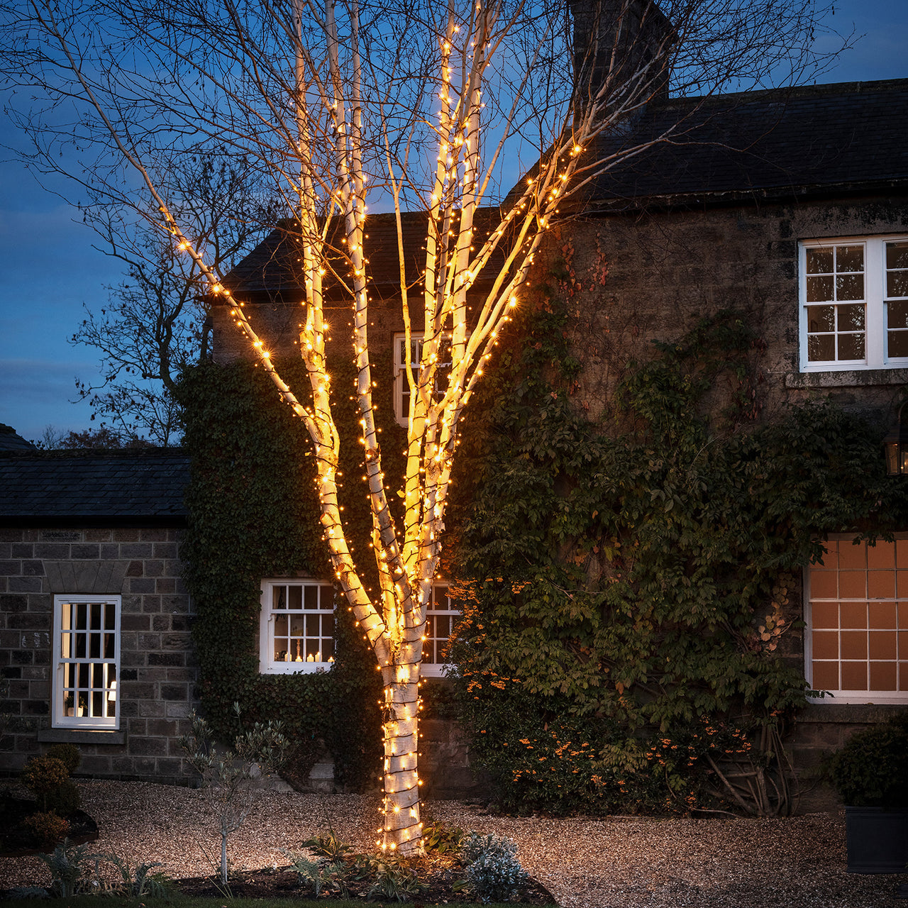 Pro Connect 5m 50 Warm White Twinkle Effect Connectable String Lights