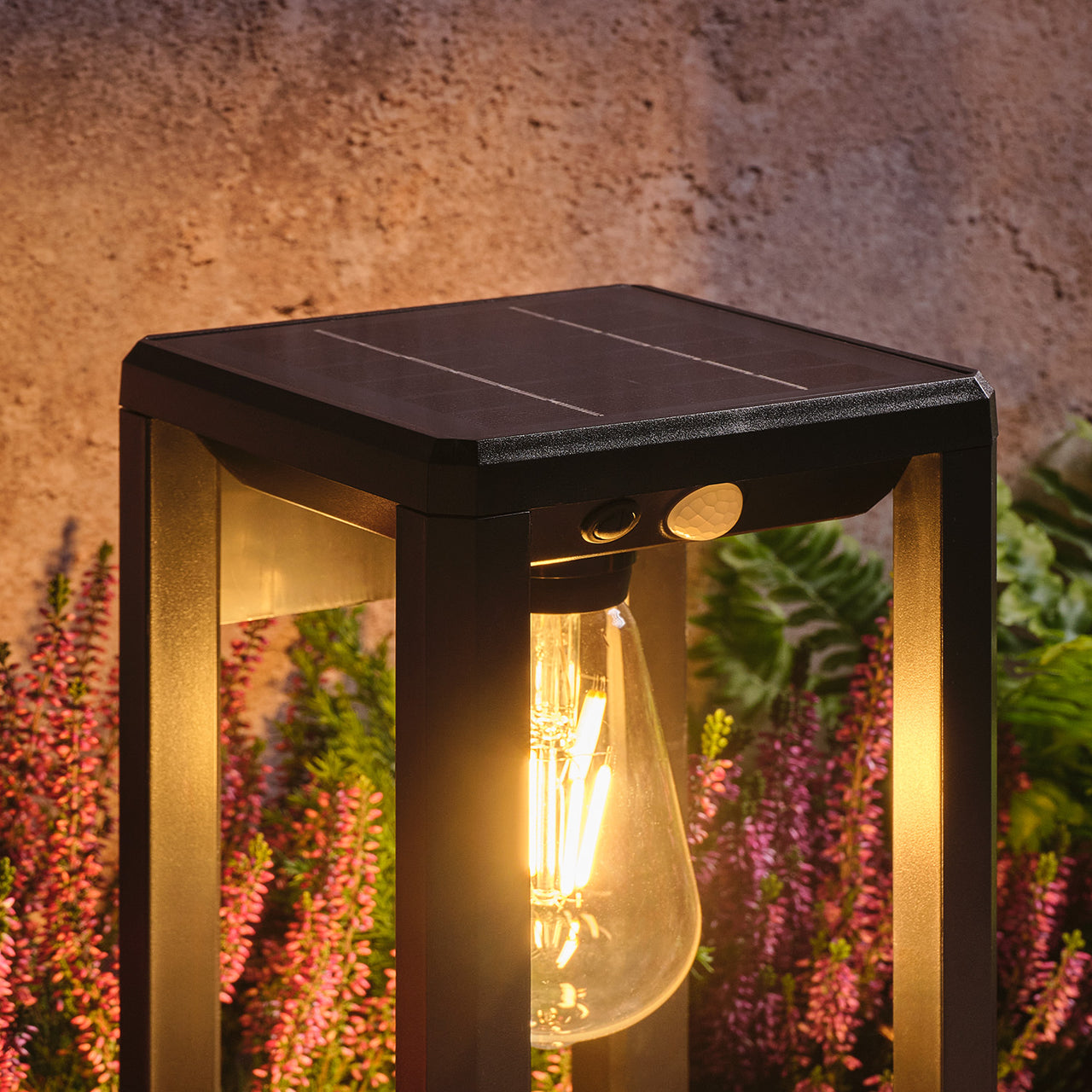 Ashford Wall / Stake Solar Light