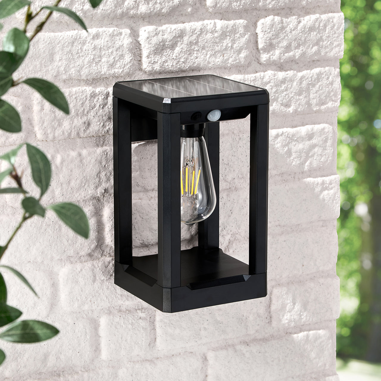 Ashford Wall / Stake Solar Light