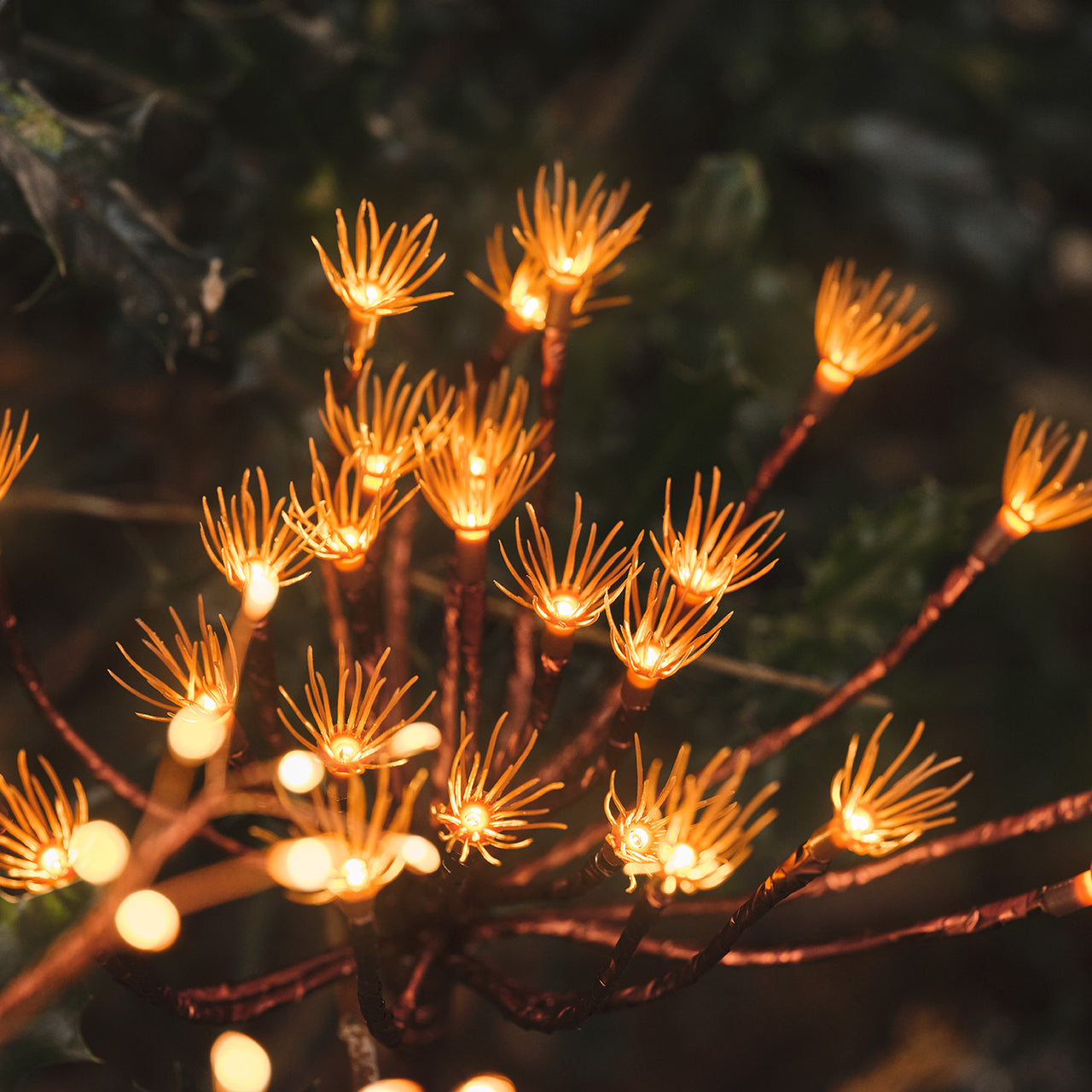 Gold Dandelion Starburst Solar Stake Light | Summer Garden Decoration
