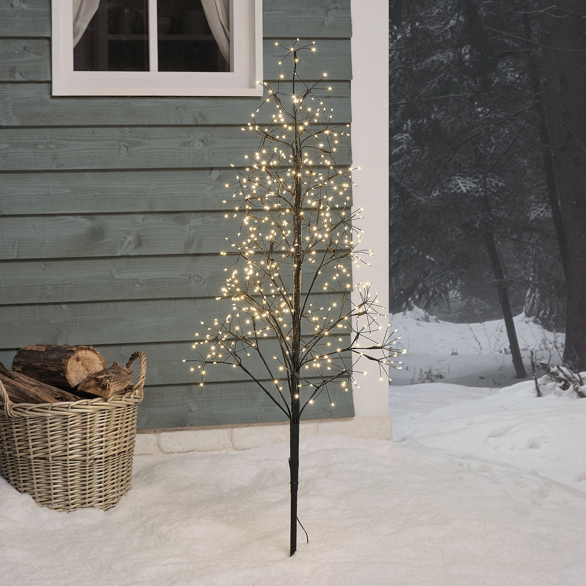 Black Starburst LED Twig Christmas Tree Duo