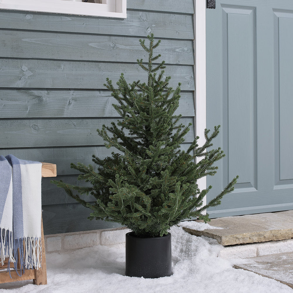 90cm Pre Lit Potted Grandis Fir Outdoor Plug in Christmas Tree