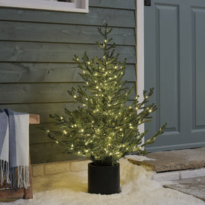 90cm Pre Lit Potted Grandis Fir Outdoor Plug in Christmas Tree