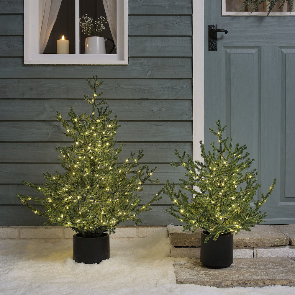 60cm Pre Lit Potted Grandis Fir Outdoor Plug in Christmas Tree
