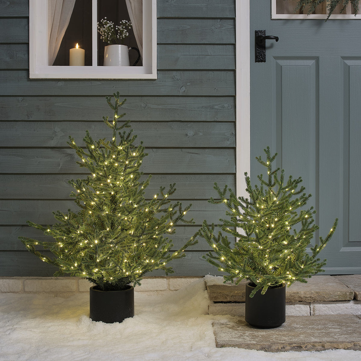 60cm Pre Lit Potted Grandis Fir Outdoor Plug in Christmas Tree