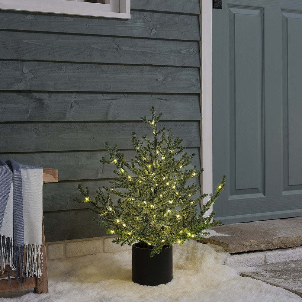60cm Pre Lit Potted Grandis Fir Outdoor Plug in Christmas Tree