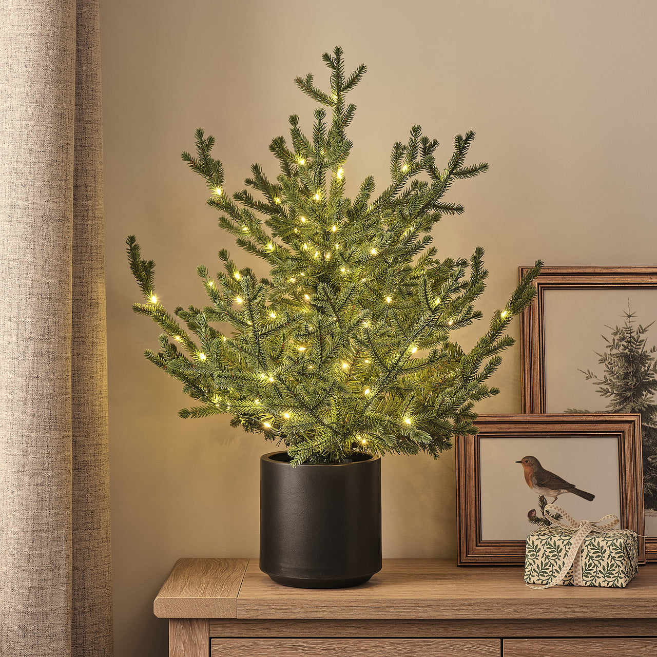 60cm Pre Lit Potted Grandis Fir Outdoor Plug in Christmas Tree