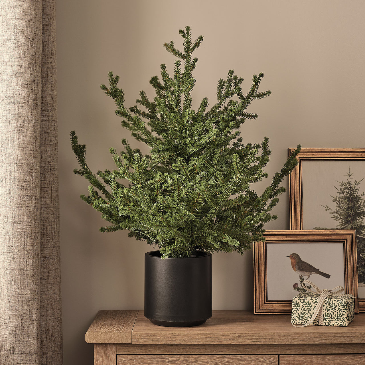 60cm Pre Lit Potted Grandis Fir Outdoor Plug in Christmas Tree