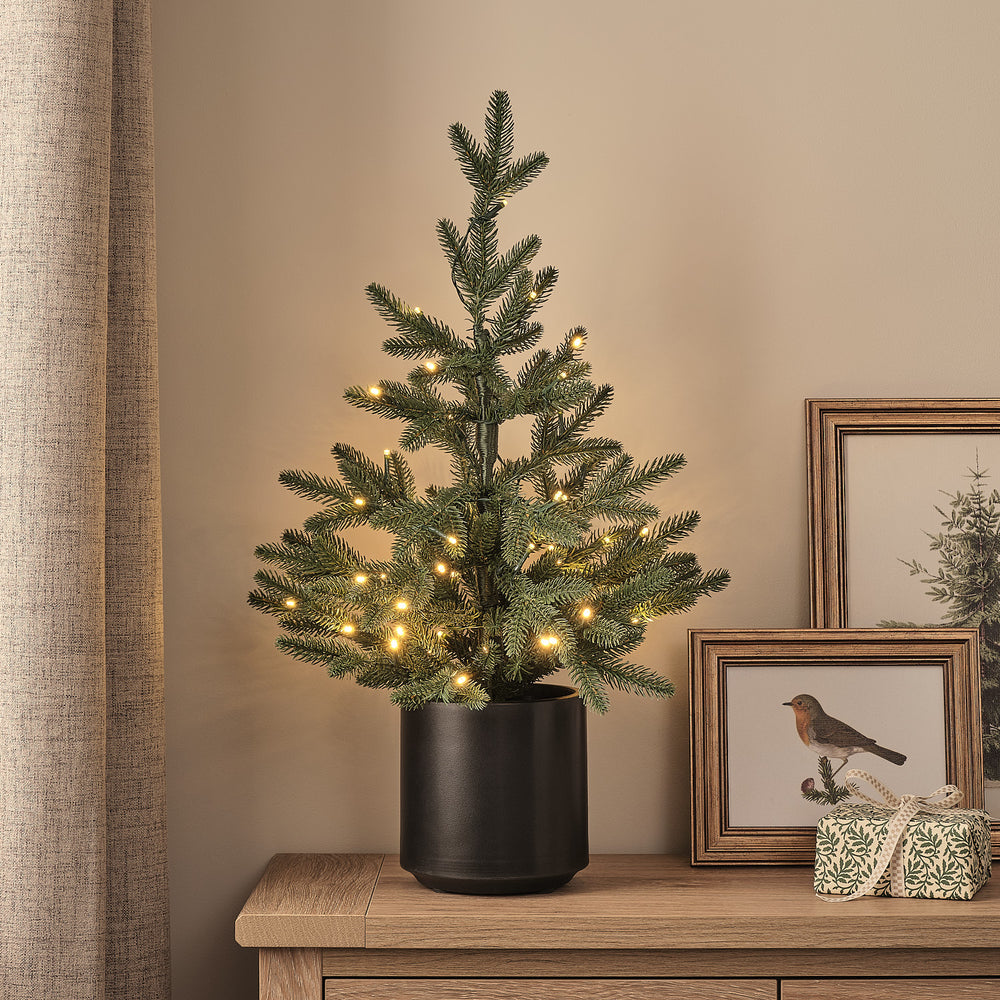 60cm Pre Lit Potted Norway Spruce Christmas Tree