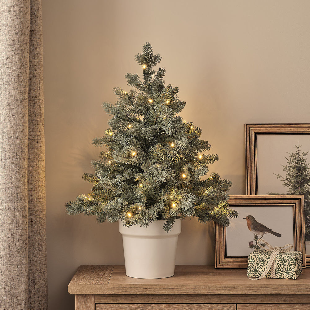 60cm Pre Lit Potted Douglas Fir Christmas Tree