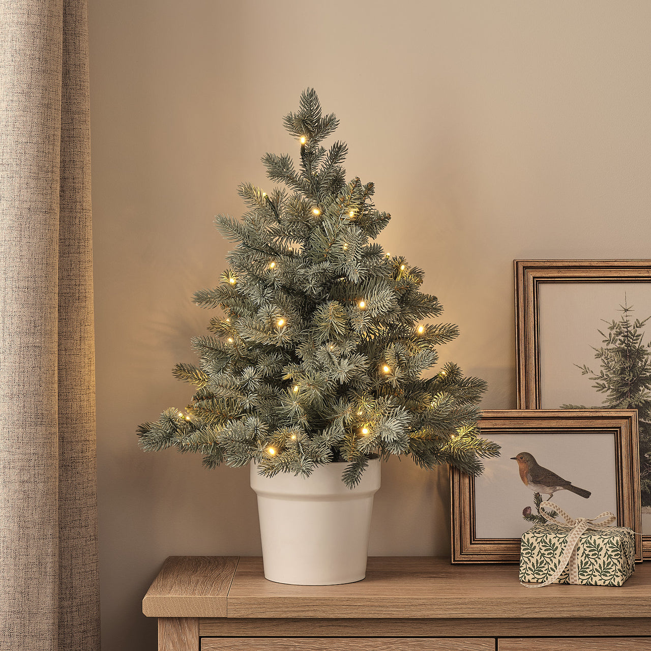 60cm Pre Lit Potted Douglas Fir Christmas Tree