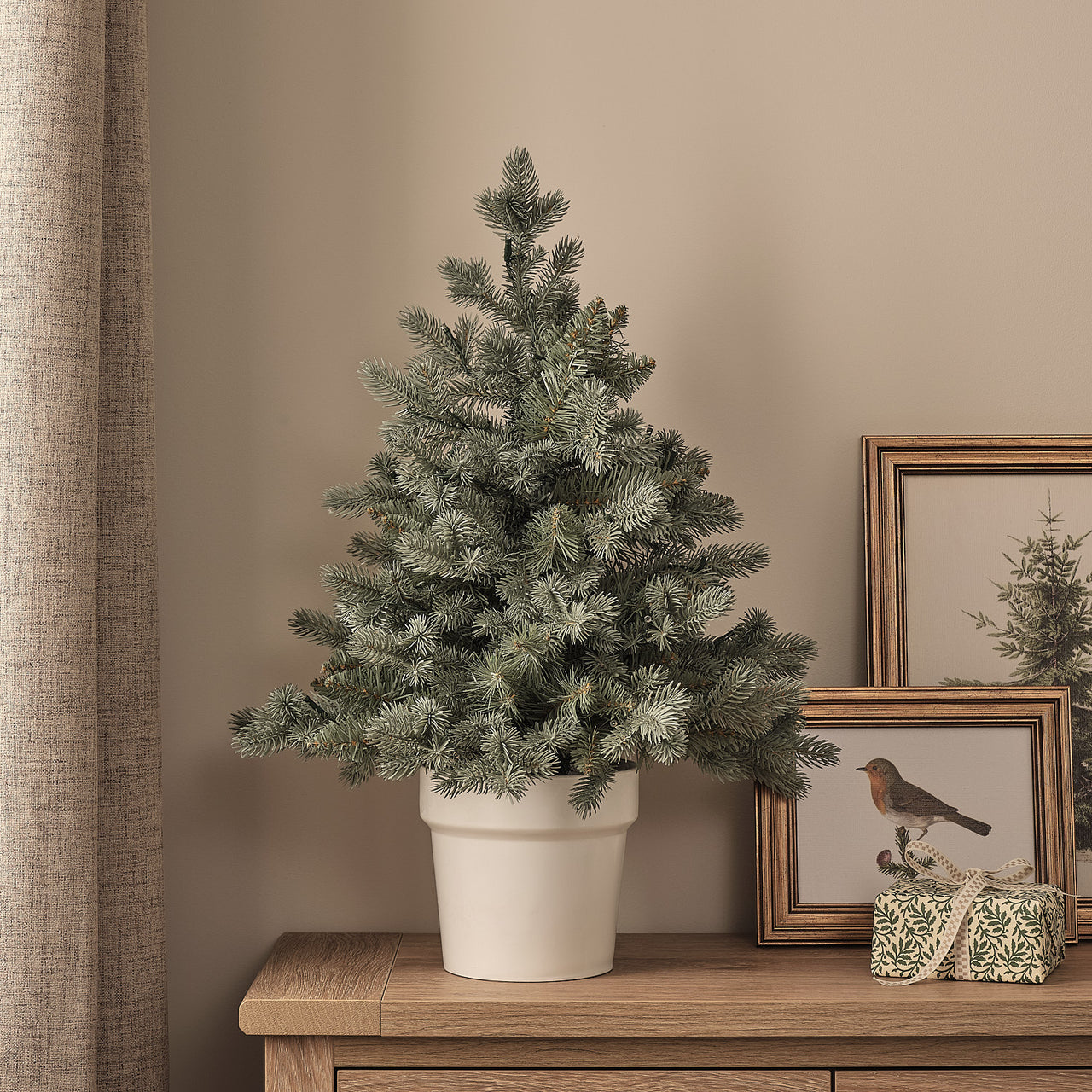 60cm Pre Lit Potted Douglas Fir Christmas Tree
