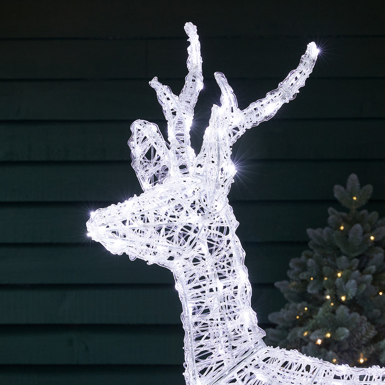 Swinsty Stag Dual Colour LED Light Up Reindeer