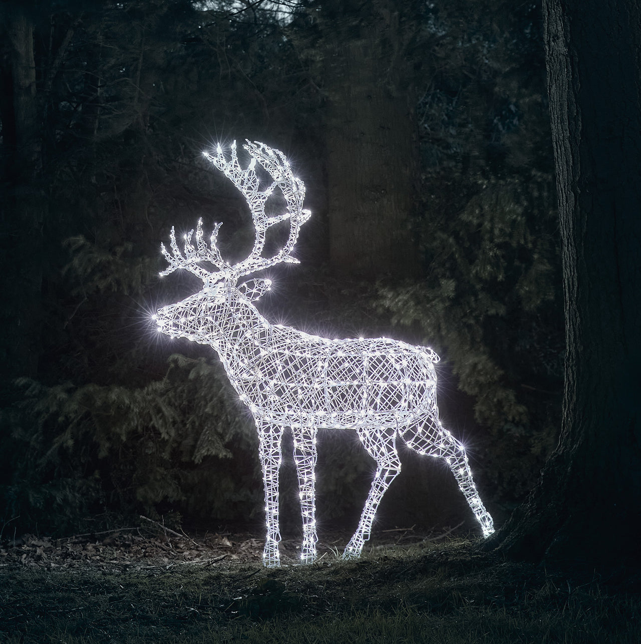 1.8m XL Solar Powered Arkendale Reindeer