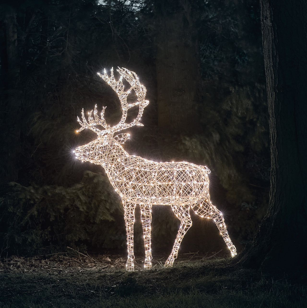 1.8m XL Solar Powered Arkendale Reindeer