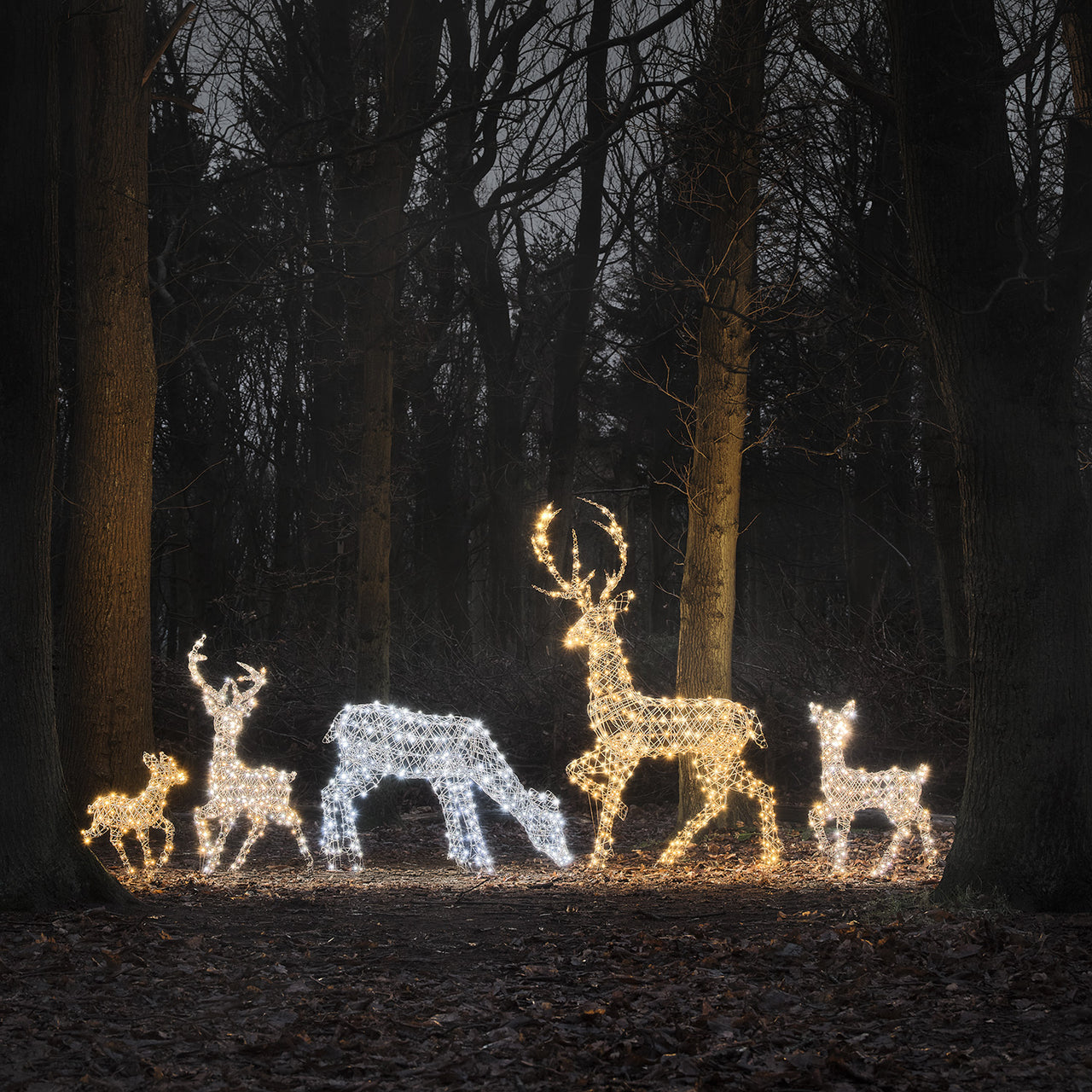 88cm Dual LED Studley Rattan Doe Light Up Reindeer