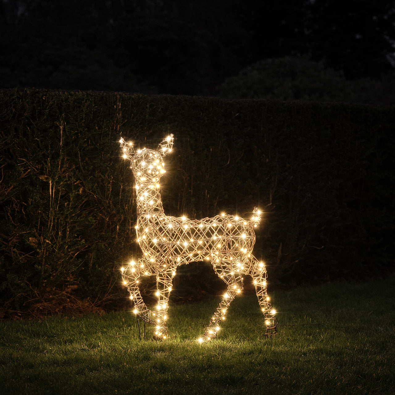 88cm Dual LED Studley Rattan Doe Light Up Reindeer
