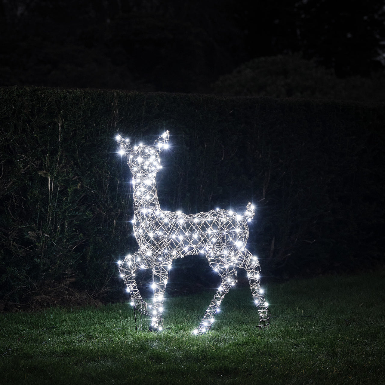 88cm Dual LED Studley Rattan Doe Light Up Reindeer