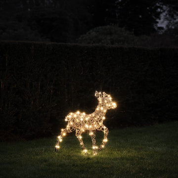 60cm Dual LED Studley Rattan Fawn Light Up Reindeer