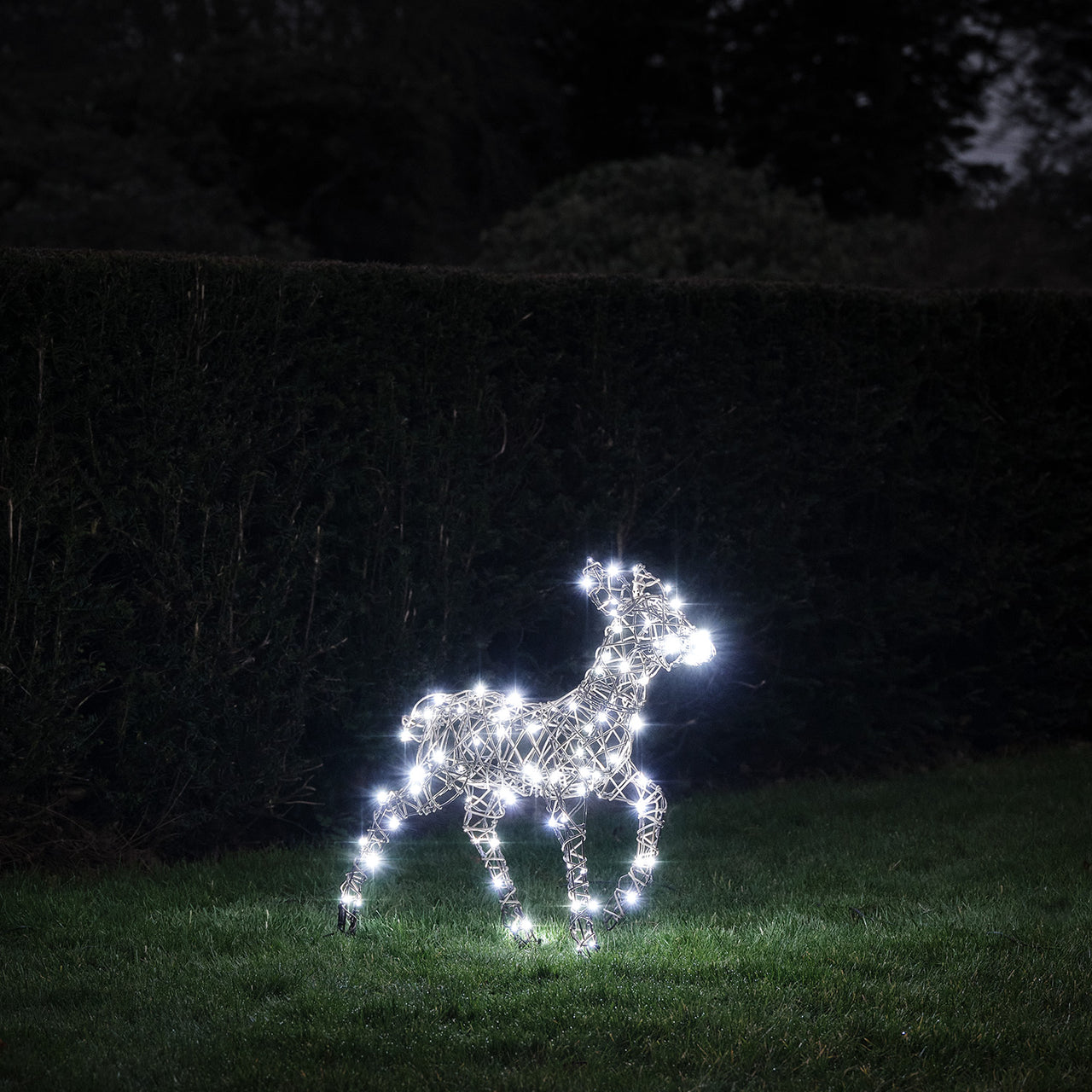 60cm Dual LED Studley Rattan Fawn Light Up Reindeer