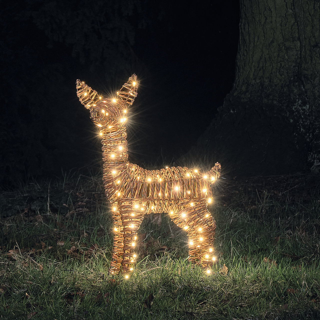 Pateley Dual LED Rattan Fawn & Doe Light Up Reindeer Duo