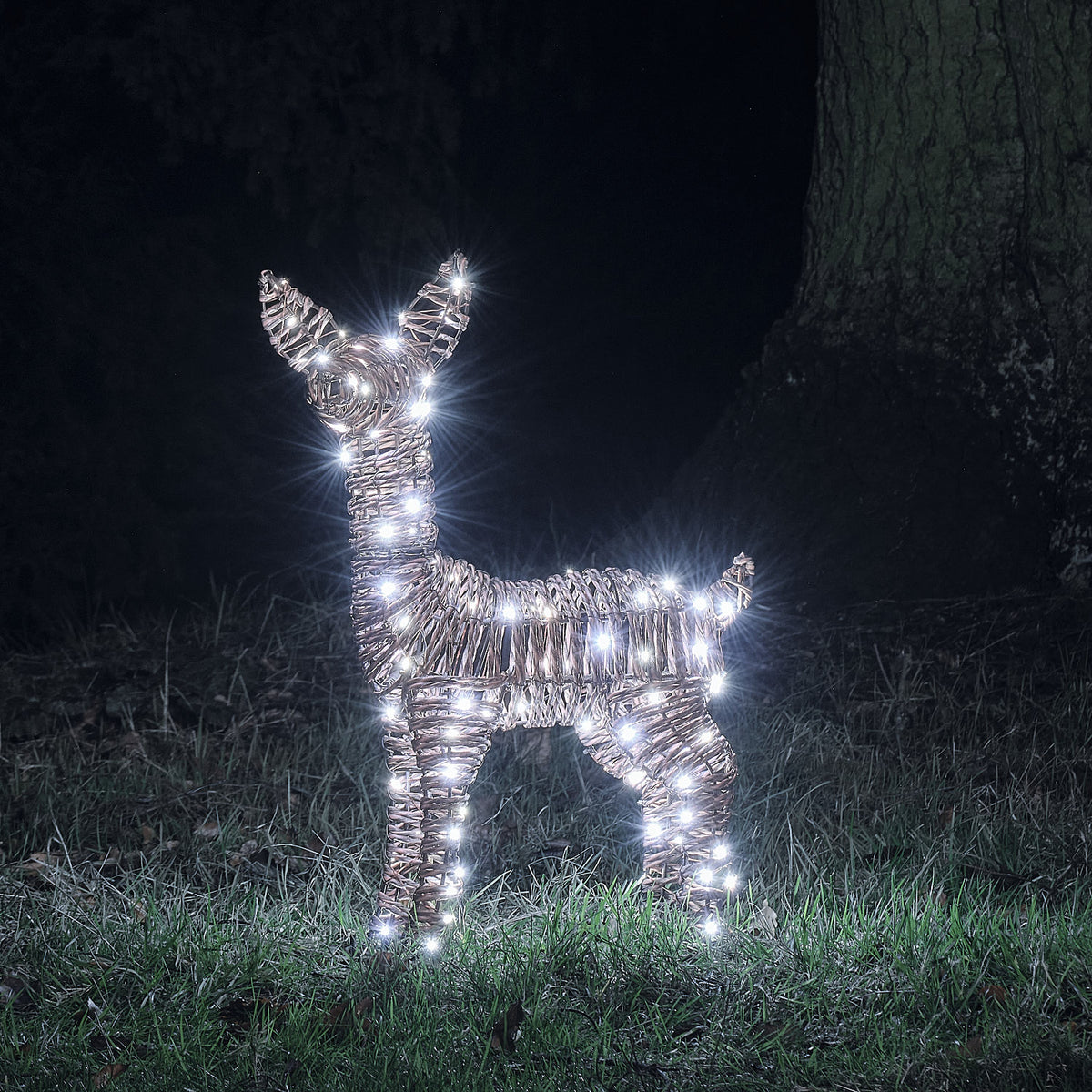 62cm Dual LED Pateley Rattan Fawn Light Up Reindeer