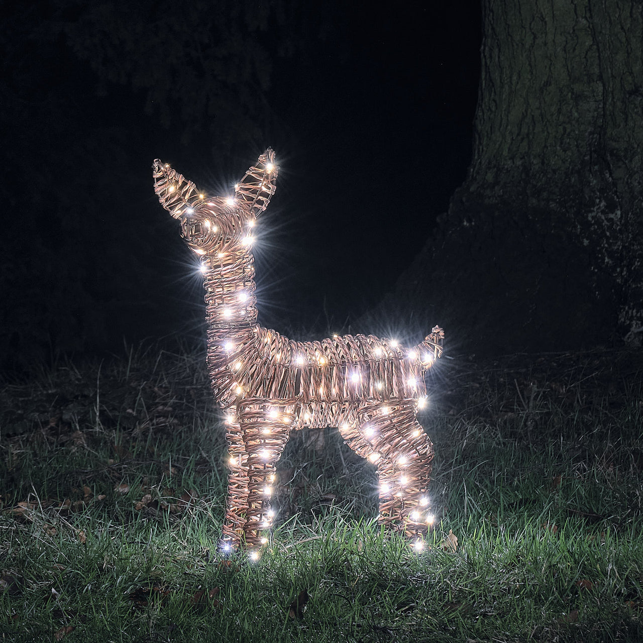62cm Dual LED Pateley Rattan Fawn Light Up Reindeer