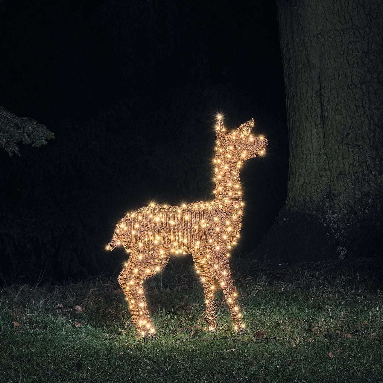 98cm Dual LED Pateley Rattan Doe Light Up Reindeer