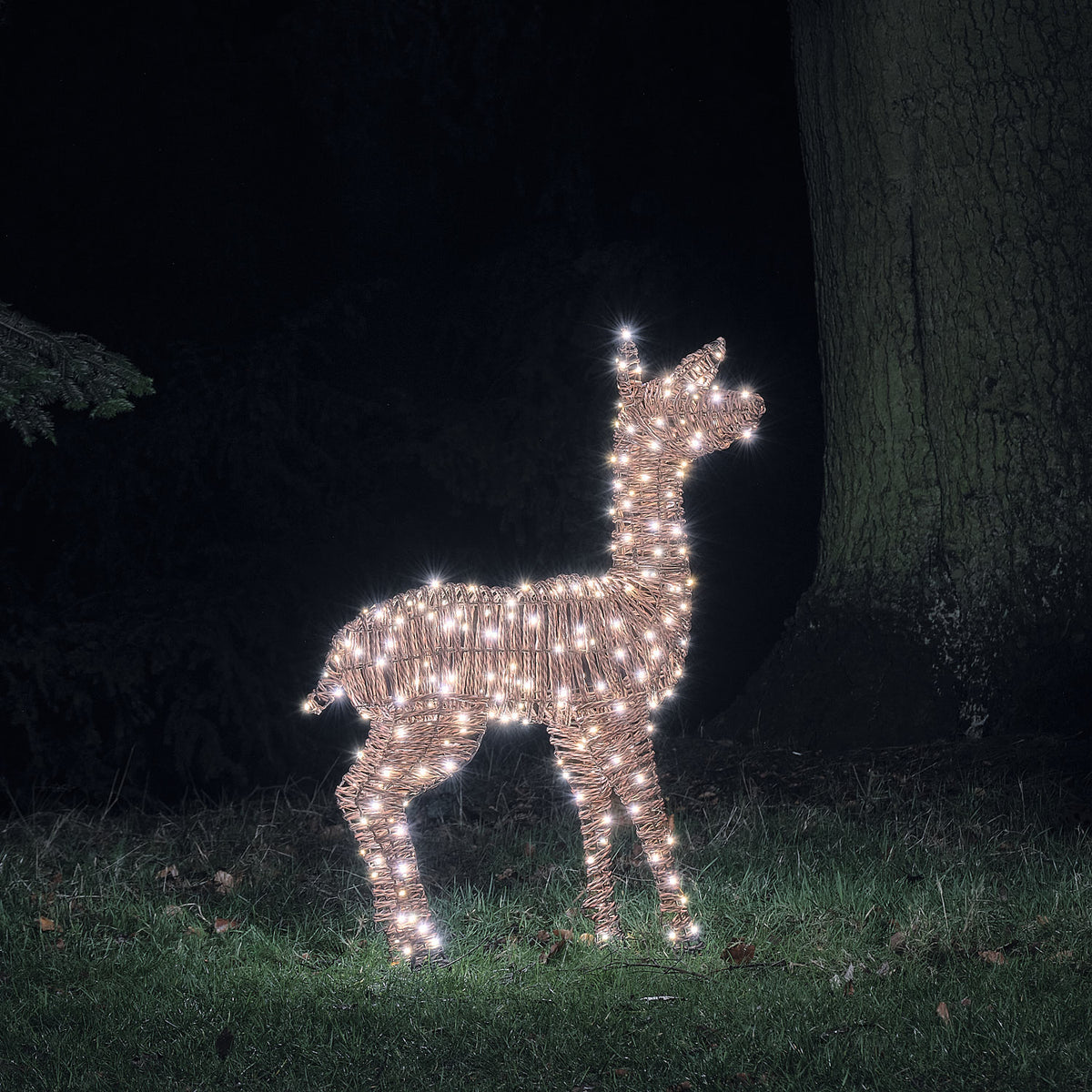 98cm Dual LED Pateley Rattan Doe Light Up Reindeer