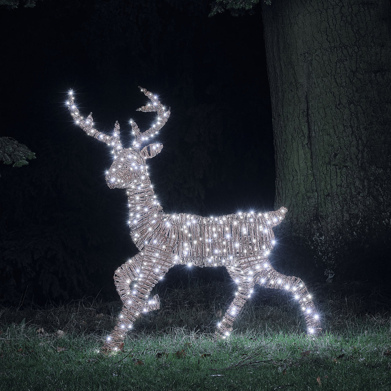 1.25m Dual LED Pateley Rattan Stag Light Up Reindeer