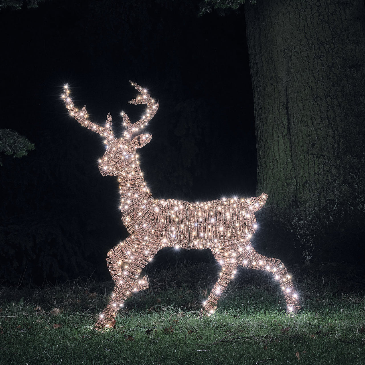 1.25m Dual LED Pateley Rattan Stag Light Up Reindeer