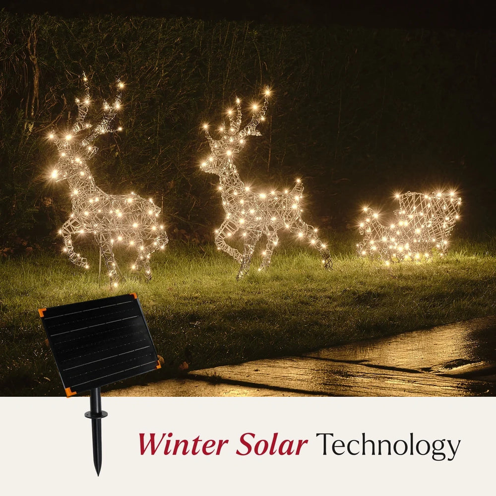 Solar Powered 64cm Dual LED Harlow Light Up Reindeer & Sleigh